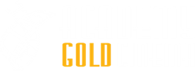 Academy Gold Cinema- Movie tickets